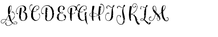 Maris Rough Regular Font UPPERCASE