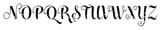 Maris Rough Medium Font UPPERCASE