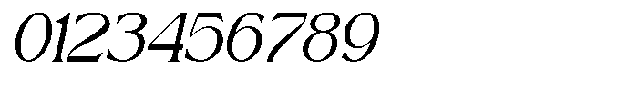 Magnola Italic Font OTHER CHARS