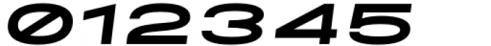 Maincode Black 175 Oblique Font OTHER CHARS