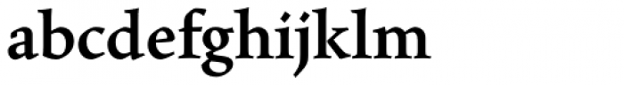 Maiola Cyrillic Bold Font LOWERCASE