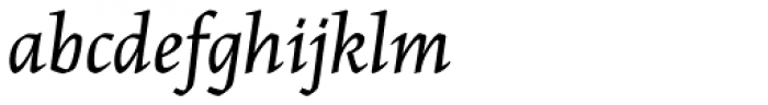 Maiola Cyrillic Book Italic Font LOWERCASE