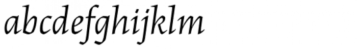 Maiola Cyrillic Italic Font LOWERCASE