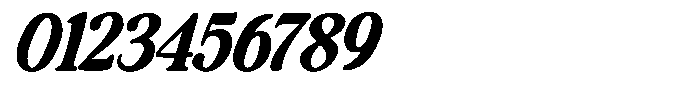 Makers Serif Italic Narrow Contrast Font OTHER CHARS