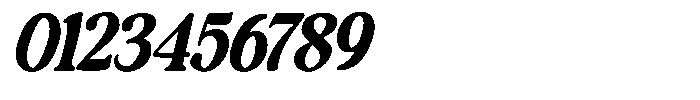 Makers Serif Oblique Narrow Contrast Font OTHER CHARS