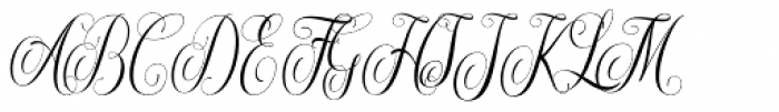 Maldini Script Regular Font UPPERCASE
