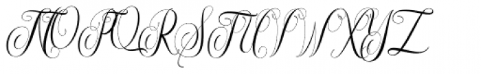 Maldini Script Regular Font UPPERCASE