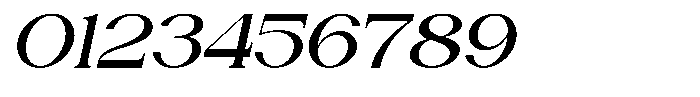 Malgiva Italic Font OTHER CHARS
