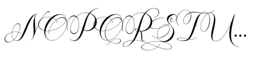 Marcopolo  Regular Font UPPERCASE
