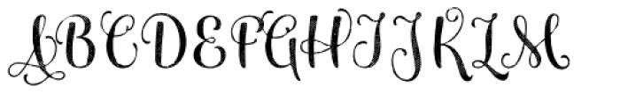 Maris Halftone Regular Font UPPERCASE