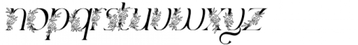 Marlyn Alt Flo One Light Italic Font LOWERCASE