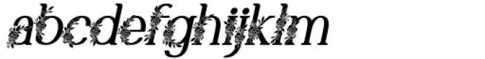 Marlyn Flo Medium Italic Font LOWERCASE
