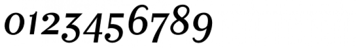 Matrix II Italic Font OTHER CHARS