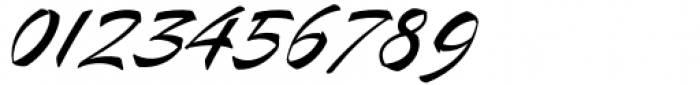 Mauritz Sans Light Italic Font OTHER CHARS