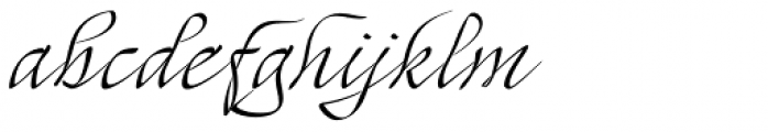 Mayence Standard Font LOWERCASE