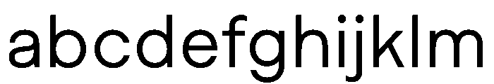 MaaxRaw Regular FONT