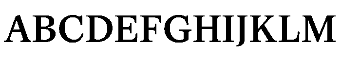 MagisterST Medium Font UPPERCASE