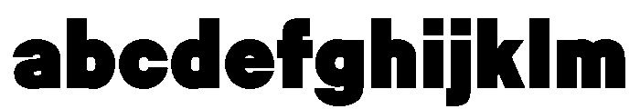 Malamocco Black FONT