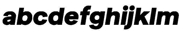 Matter TRIAL XHBlackItalic Instance FONT