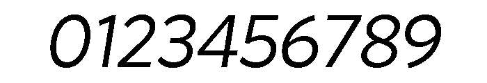 Magdelin Regular Italic Font OTHER CHARS