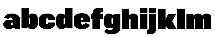 Marsden Condensed Super Black FONT