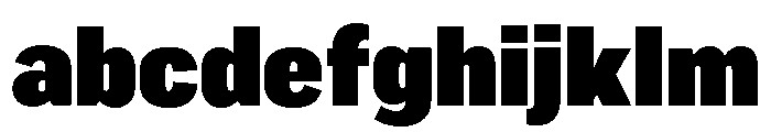 Marsden Condensed Ultra Black FONT