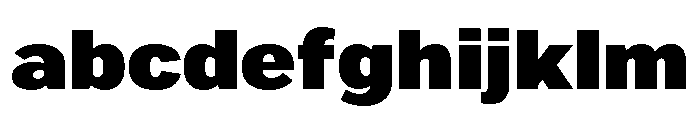 Marsden Extended Black FONT