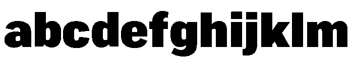Marsden Narrow Black FONT