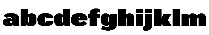 Marsden Narrow Super Black FONT
