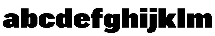 Marsden Narrow Ultra Black FONT