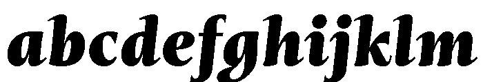 Mastro Text Black Italic FONT