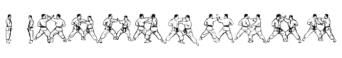 McCoy Dingbat Karate Font OTHER CHARS