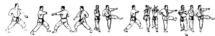 McCoy Dingbat Karate Font UPPERCASE