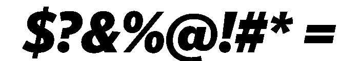 McClatchy Sans Black Italic Font OTHER CHARS