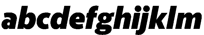 McClatchy Sans Black Italic FONT