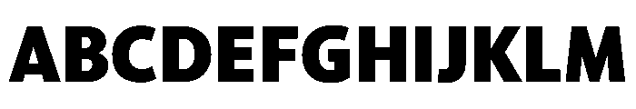 McClatchy Sans Black Font UPPERCASE