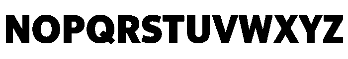 McClatchy Sans Black Font UPPERCASE
