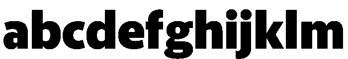 McClatchy Sans Black FONT