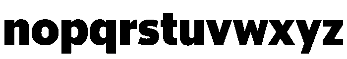 McClatchy Sans Black Font LOWERCASE