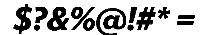 McClatchy Sans Bold Italic Font OTHER CHARS