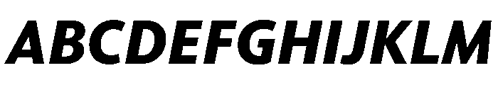 McClatchy Sans Bold Italic Font UPPERCASE