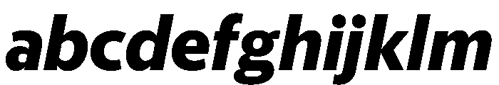 McClatchy Sans Bold Italic FONT