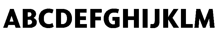 McClatchy Sans Bold Font UPPERCASE