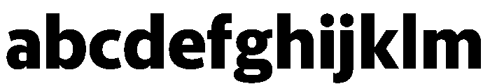 McClatchy Sans Bold FONT
