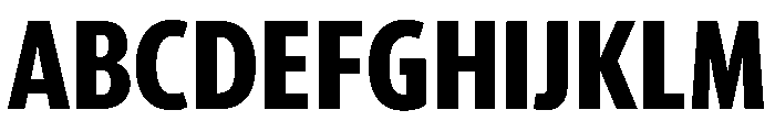 McClatchy Sans Condensed Bold Font UPPERCASE
