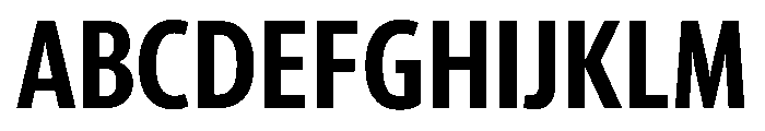 McClatchy Sans Condensed Demi Font UPPERCASE