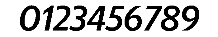 McClatchy Sans Medium Italic Font OTHER CHARS