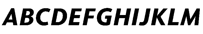 McClatchy Sans Text Bold Italic Font UPPERCASE