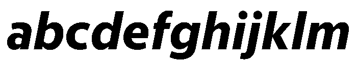 McClatchy Sans Text Bold Italic FONT