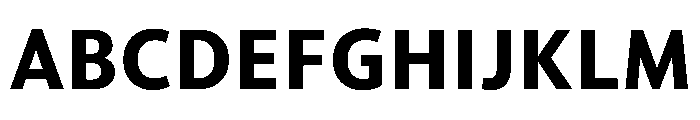 McClatchy Sans Text Bold Font UPPERCASE